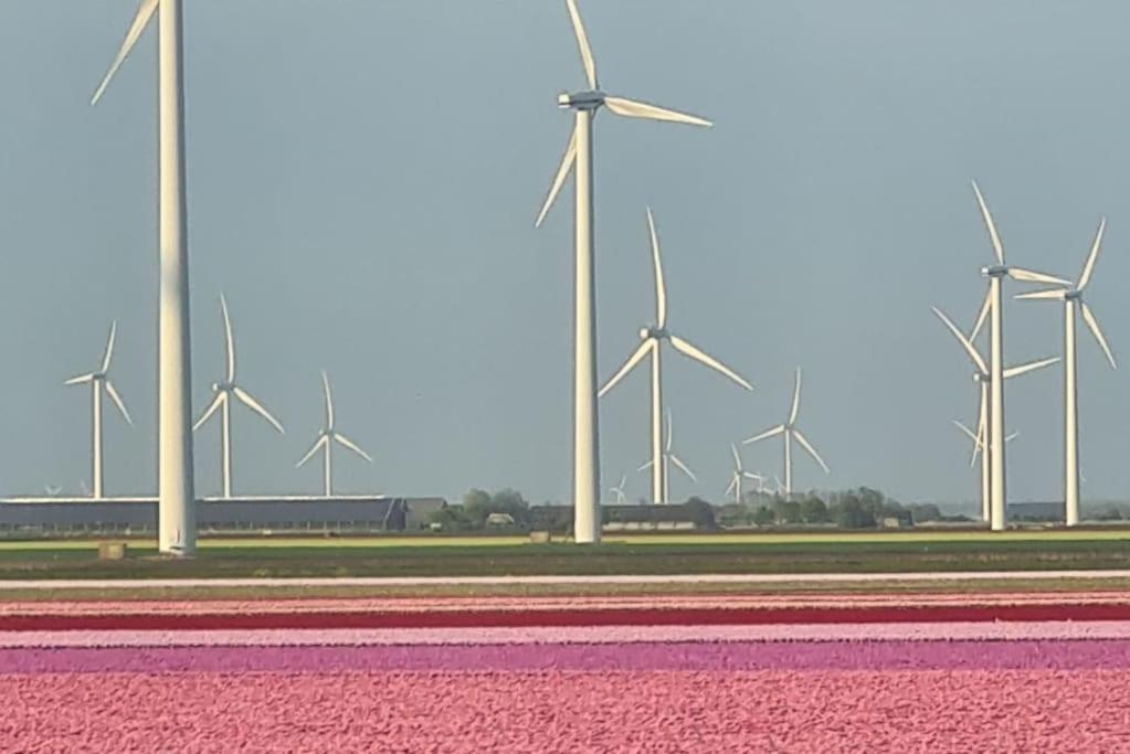 De Bosuil Putten