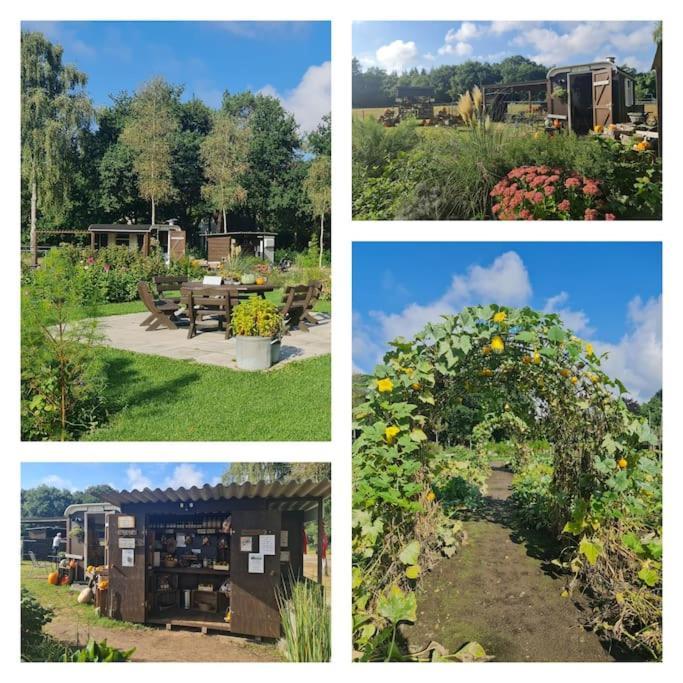 Vakantiehuis De Bosuil *